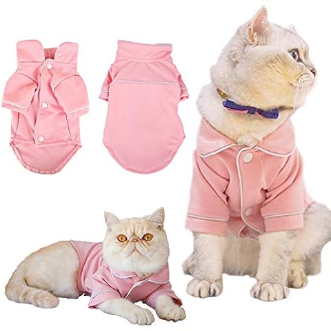 YUECUTE feature image