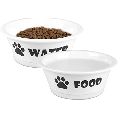 YY FOREYY feature image