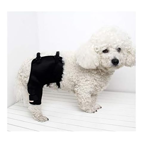 Z-PET thumbnail