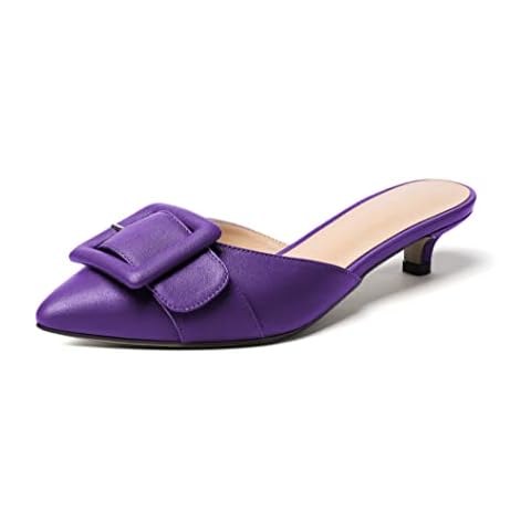 Zamikoo feature image