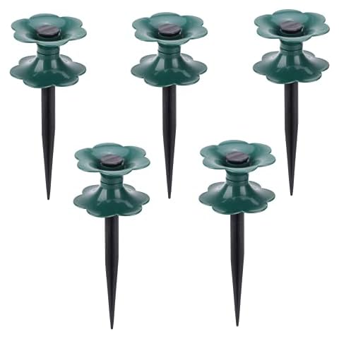 ZCFGUOI feature image