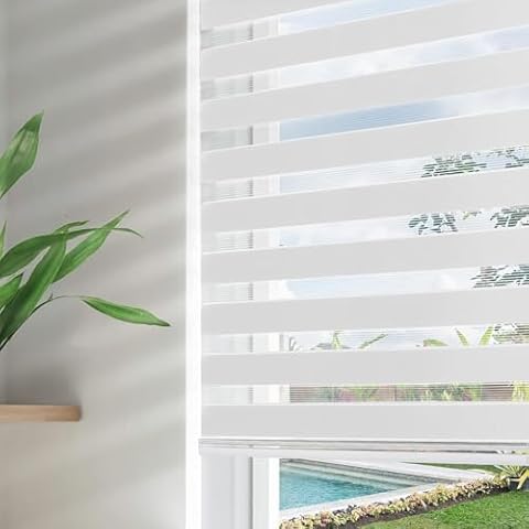 Zebra Window Blinds