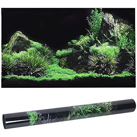 Zerodis Aquarium Décor Backgrounds