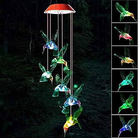 Zhengshizuo feature image