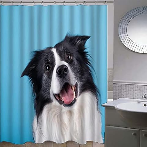 ZLKEJI feature image