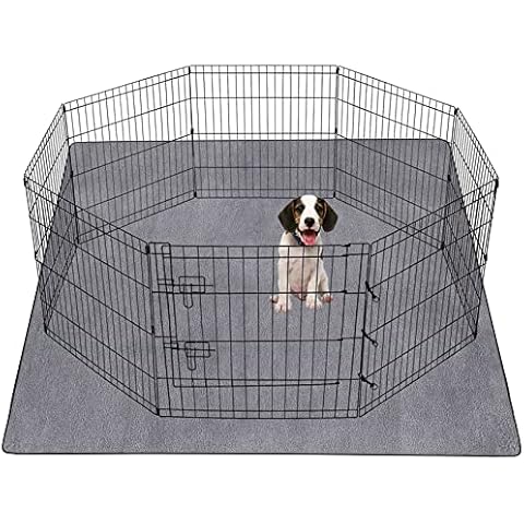 ZOBAYOP feature image