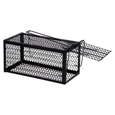 Zoe Home-Rodent Control feature image