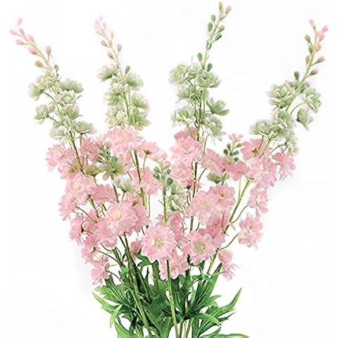 ZooeyRoose feature image