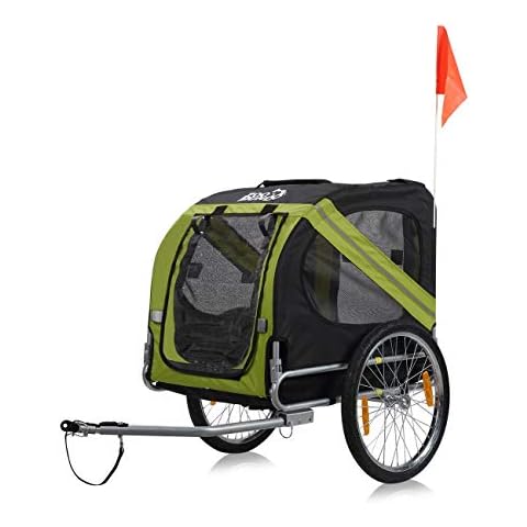 Zoomundo feature image