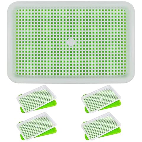 ZUCKLIGHT feature image